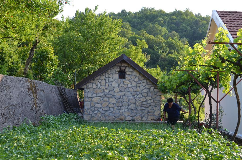 Country House Djurisic Virpazar Exterior photo